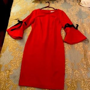 Calvin Klein form fitting sexy red dress.